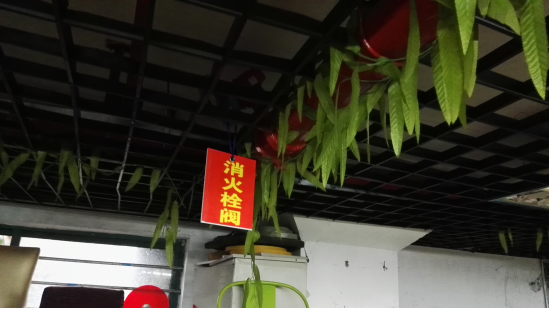 ����AG����|AG���˹�����