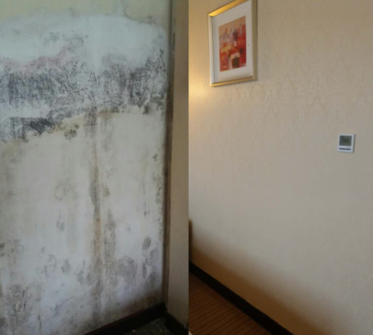 ����AG����|AG���˹�����