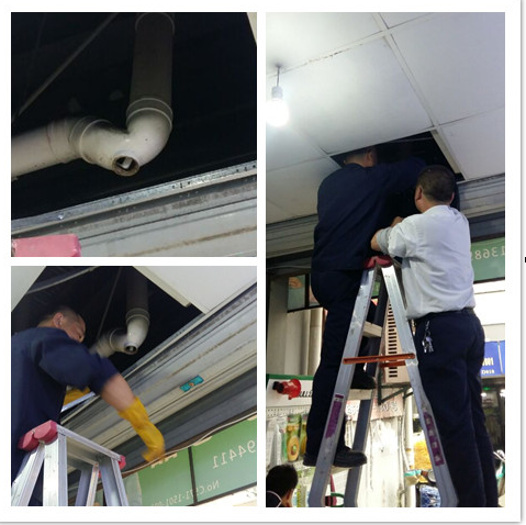 ����AG����|AG���˹�����