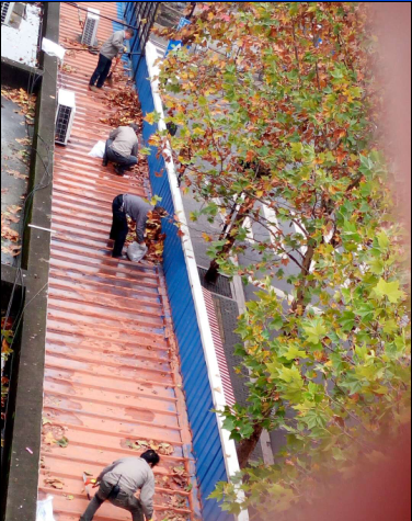 ����AG����|AG���˹�����