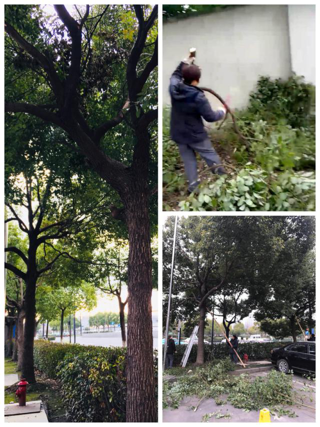 ����AG����|AG���˹�����