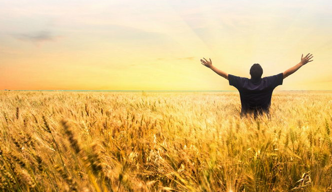 ����AG����|AG���˹�����