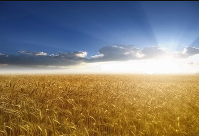 ����AG����|AG���˹�����