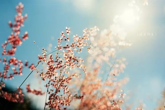 ����AG����|AG���˹�����