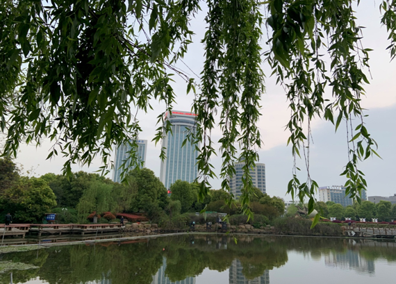 ����AG����|AG���˹�����