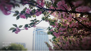 ����AG����|AG���˹�����