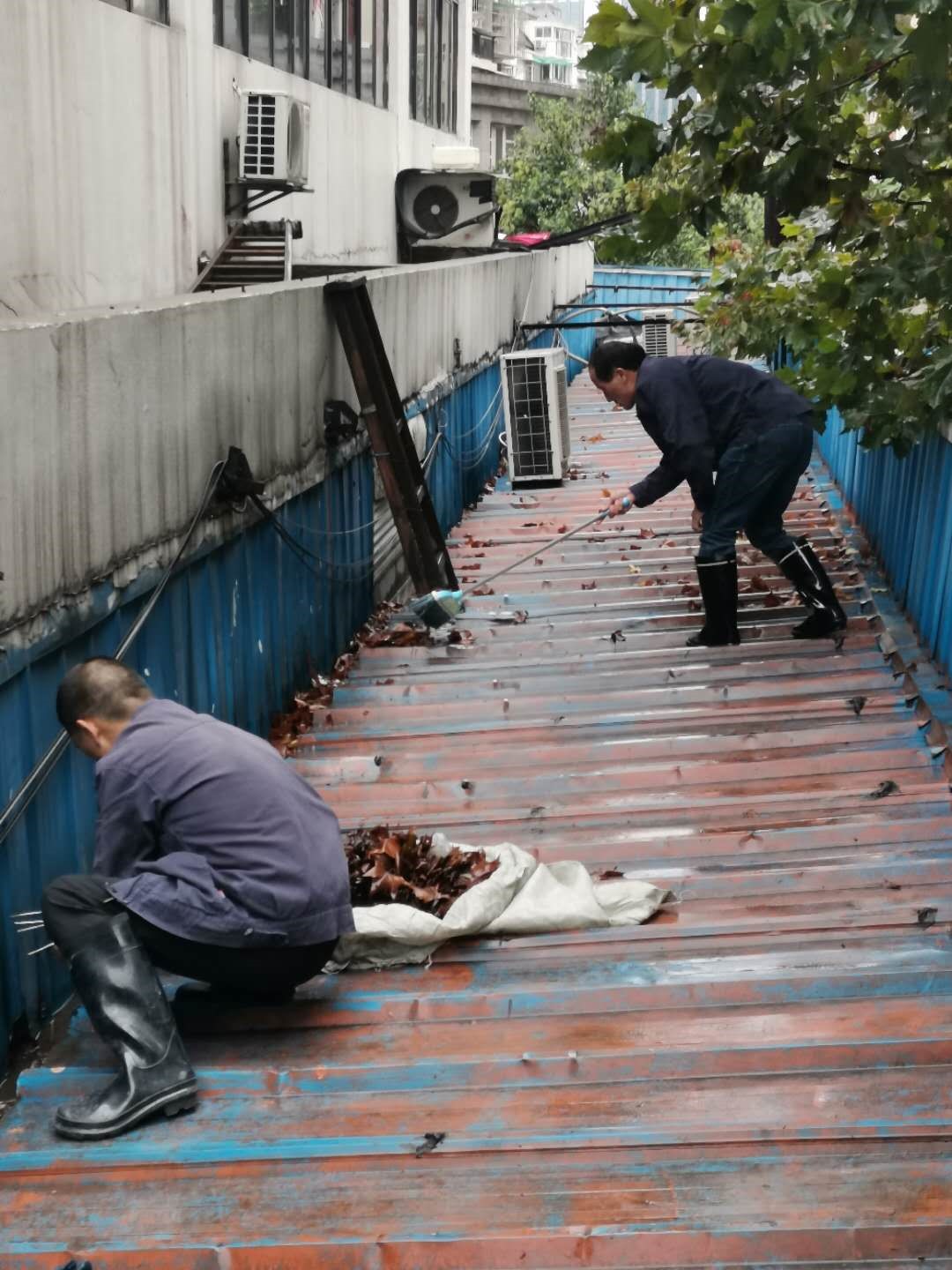 ����AG����|AG���˹�����