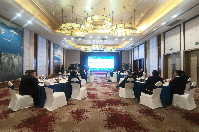 ����AG����|AG���˹�����