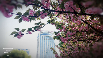 ����AG����|AG���˹�����