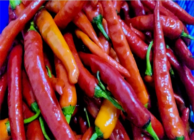 ����AG����|AG���˹�����