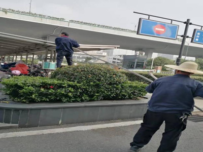 ����AG����|AG���˹�����