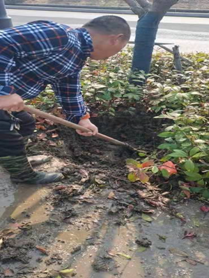 ����AG����|AG���˹�����