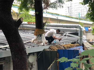 ����AG����|AG���˹�����